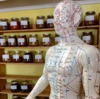 300 acupuncture services